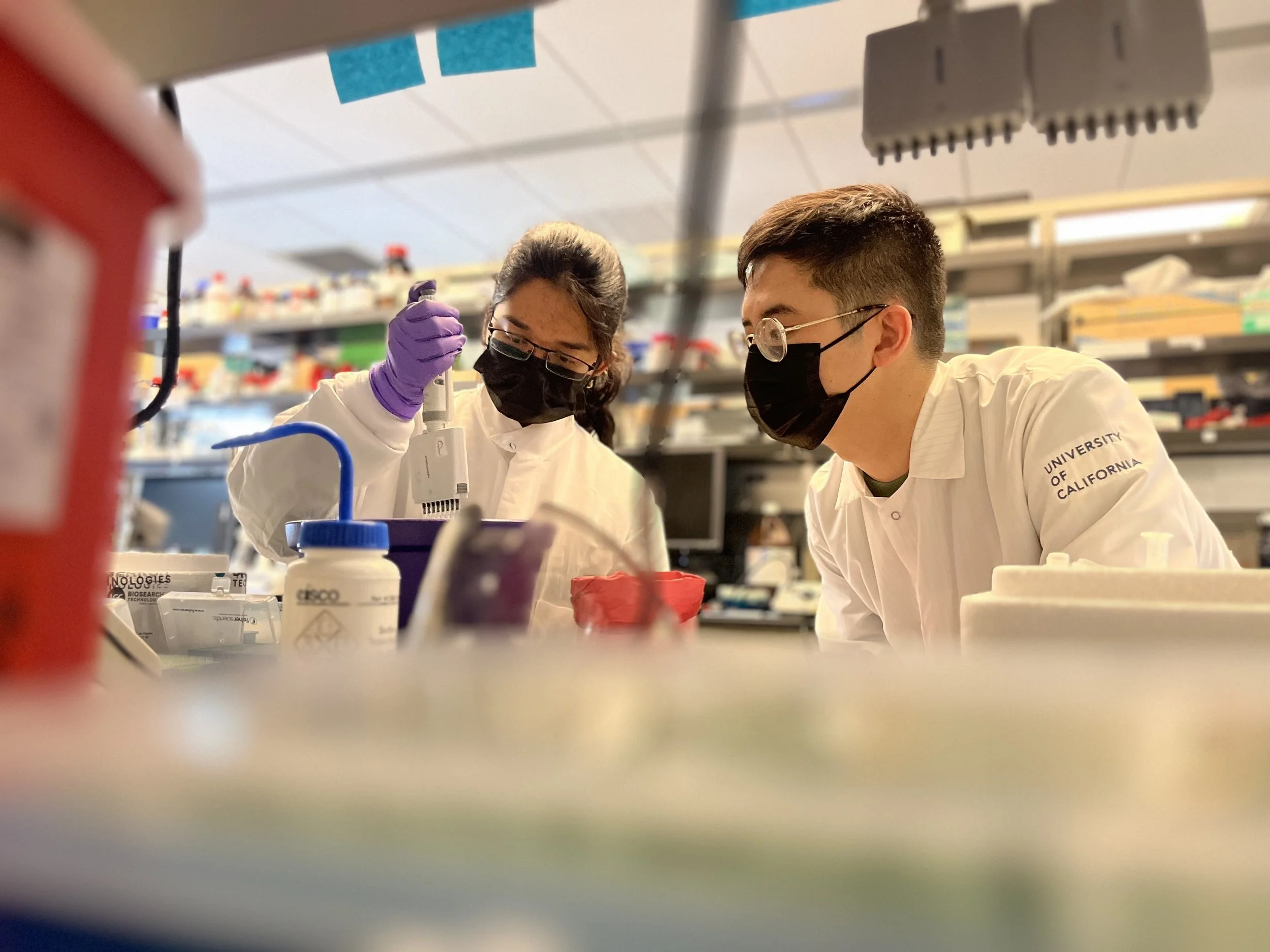 New preprint: Integrated CRISPR-based detection of HIV, tuberculosis and malaria