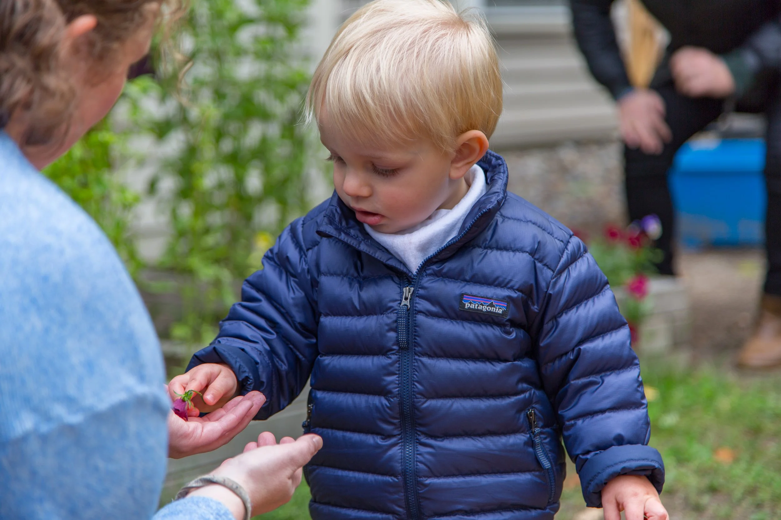 A young boy with blonde hair wearing a blue puffer jacket examines a small pink flower handed to him by an adult wearing a light blue sweater, outdoors in a garden.