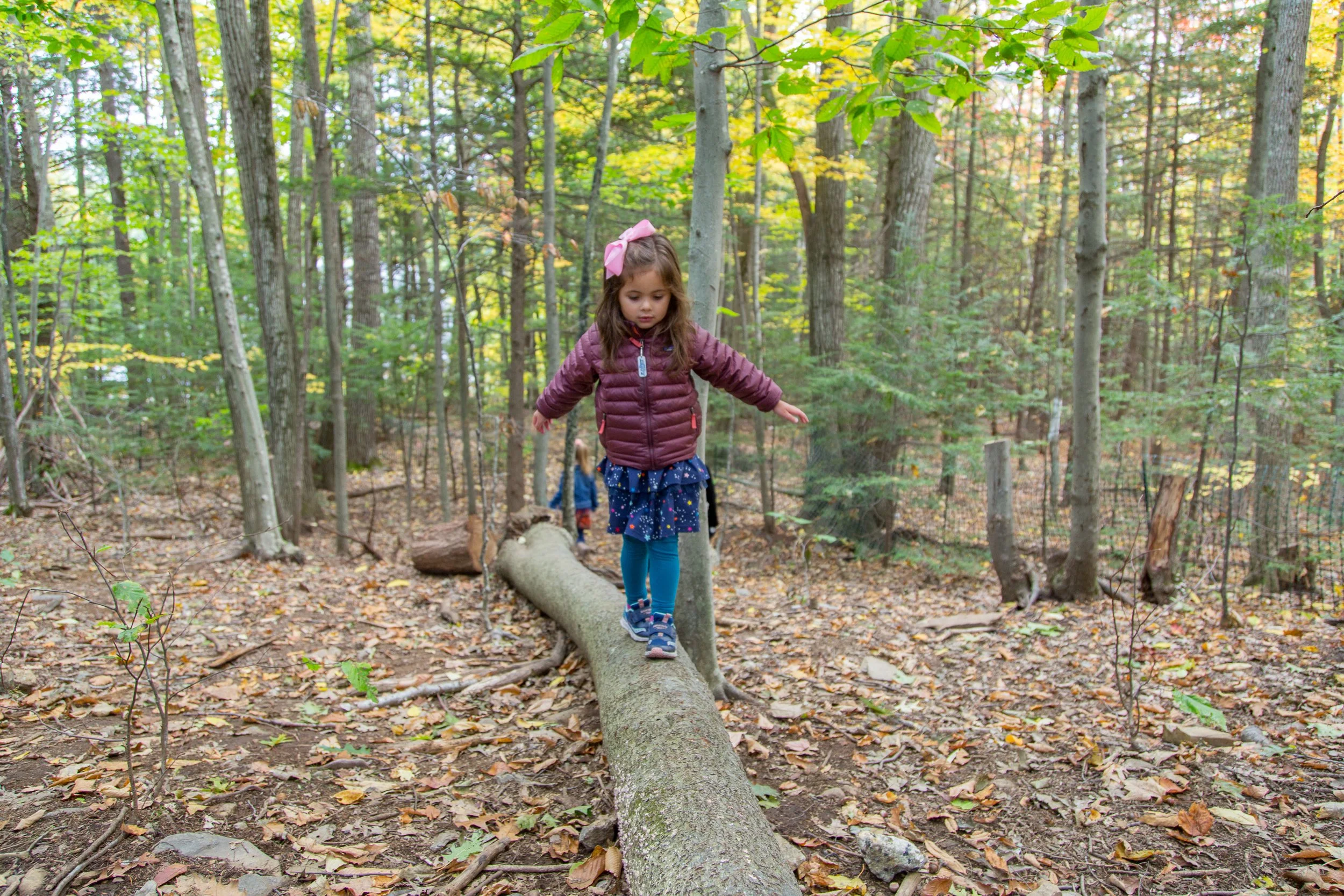 A young girl balancing on a fallen tree in a wooded forest, with another child in the background.