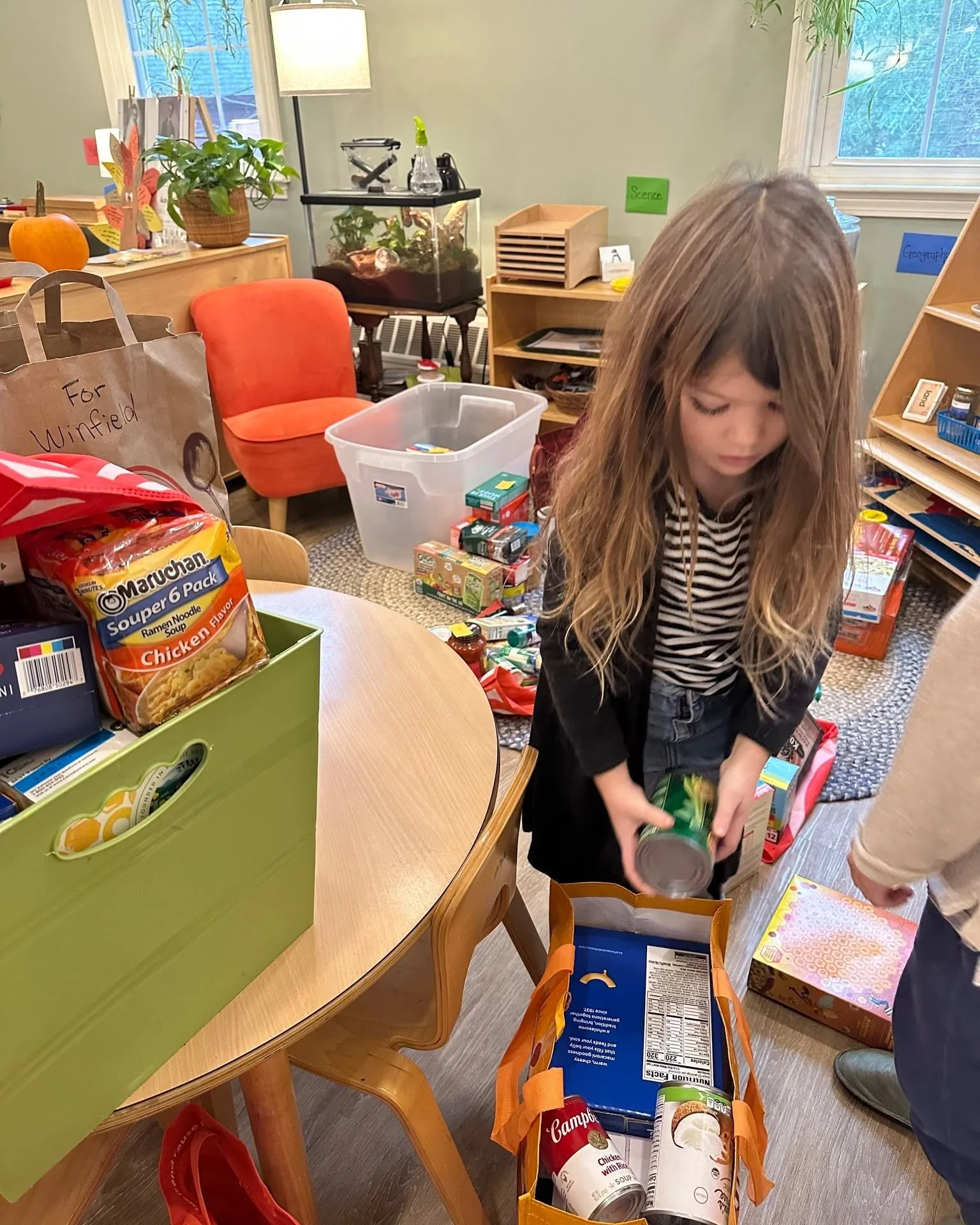 A girl with long, wavy hair wearing a black jacket and a striped shirt is holding a can of food in a room filled with various groceries, shelves, and a colorful table. The room has a window, houseplants, and a terrarium.