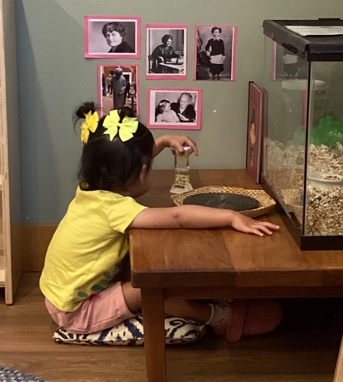 A young girl with yellow bows in her hair, sitting on a cushion at a wooden table, reaching toward a small object, with a display terrarium on the table and framed black-and-white photographs on the wall behind her.