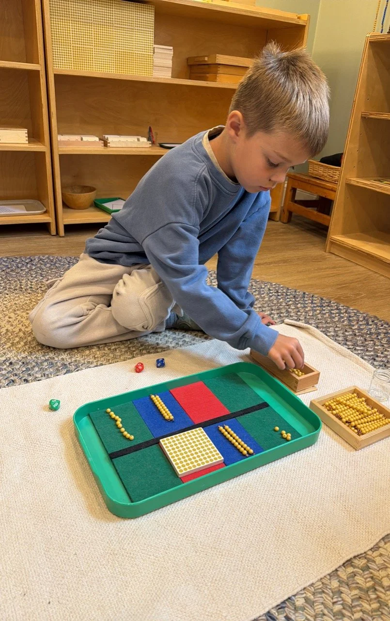 Child playing a tabletop game with colored felt and small beads, using dice and wooden trays, on a beige rug in a room with wooden shelves.