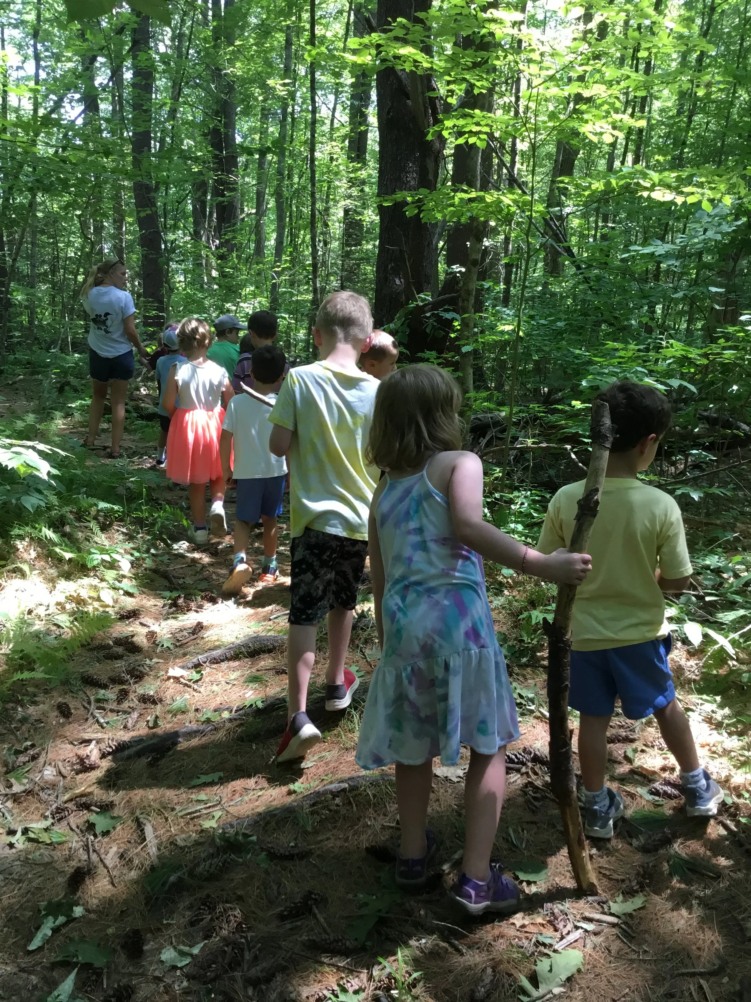 A group of children and a woman walking through a dense green forest on a sunny day.