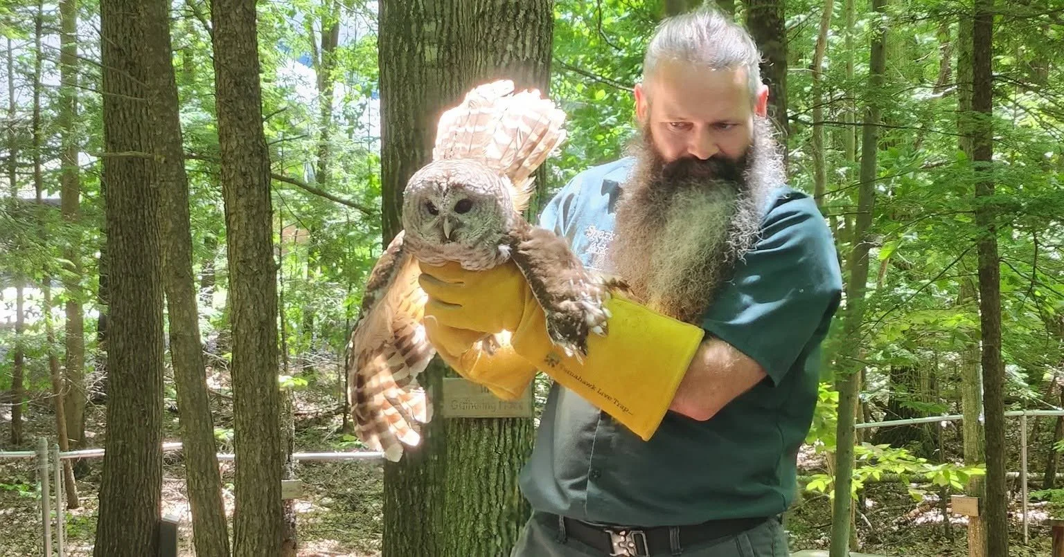 A man with a long beard wearing yellow gloves holds an owl with white and brown feathers in a forest.