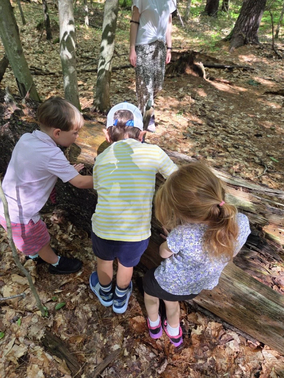 Four children and an adult in a forest, viewing a fallen tree.