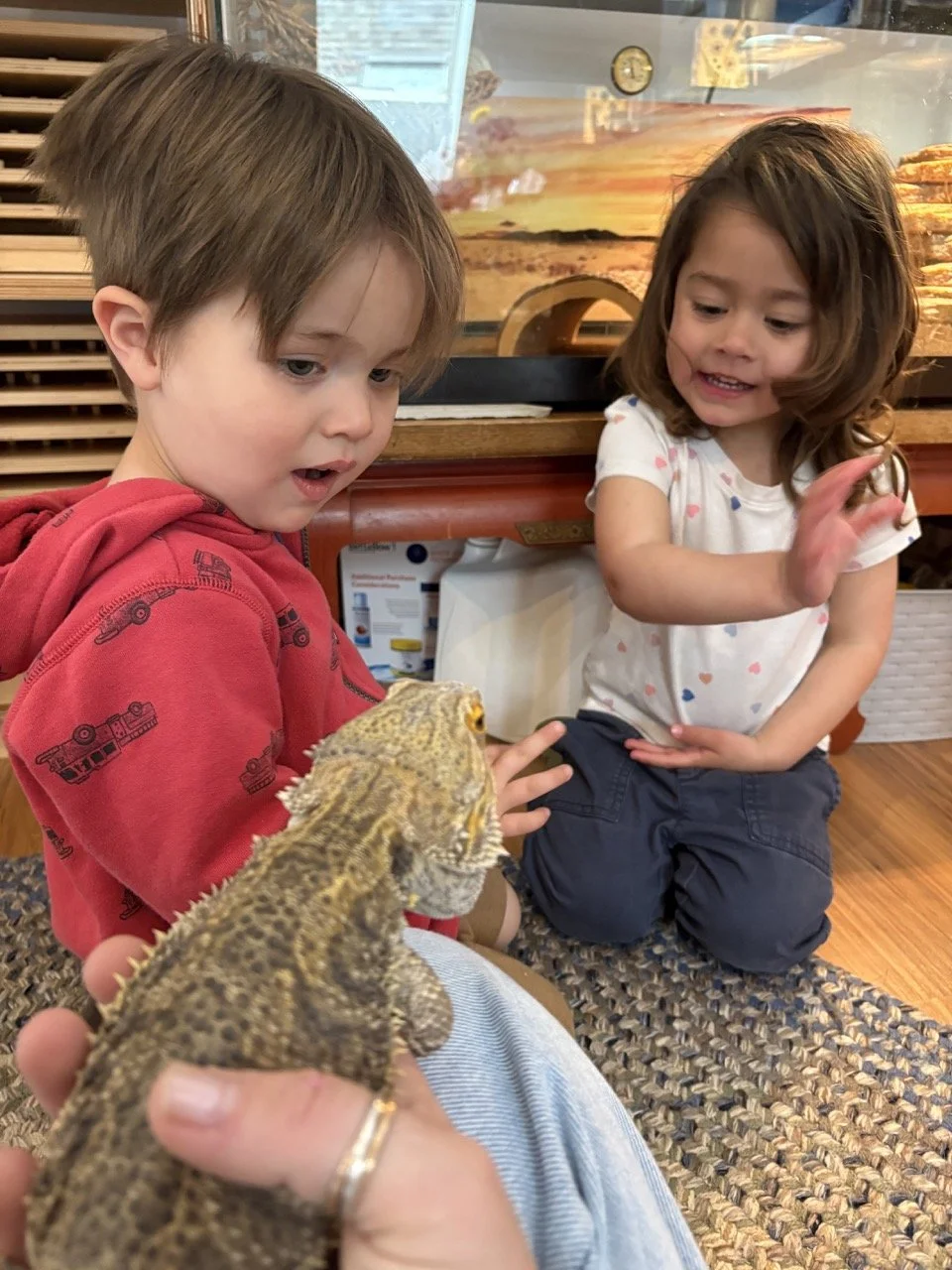 Two children, a boy and a girl, are sitting on the floor indoors, looking at a bearded dragon held by someone. The boy is wearing a red hoodie with train graphics, and the girl has brown hair and is wearing a white shirt with colorful hearts.