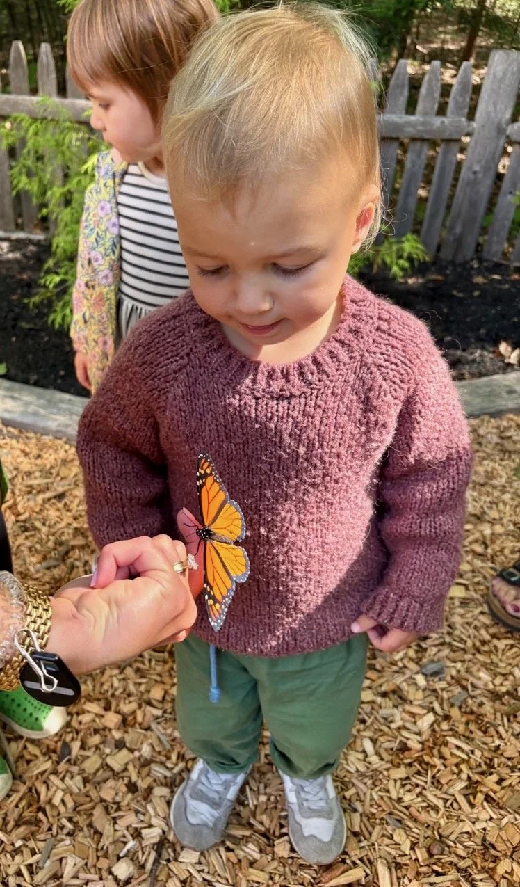 A young boy wearing a pink sweater and green pants looks down at a monarch butterfly perched on his finger, while a girl with brown hair and a striped shirt stands behind them in an outdoor setting with a wooden fence and greenery.