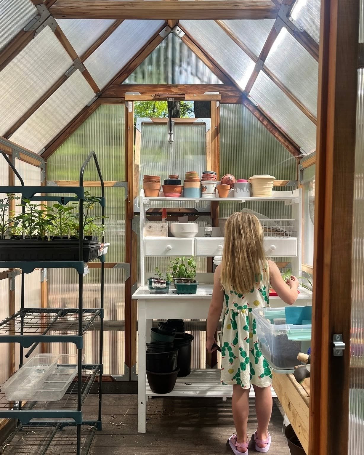 A young girl with long blonde hair, wearing a white dress with green and yellow patterns, is inside a small greenhouse. She is standing in front of a white shelving unit with potted plants, gardening supplies, and empty pots, and is tending to a small plant with her right hand. The greenhouse has translucent panels and various gardening tools and containers.