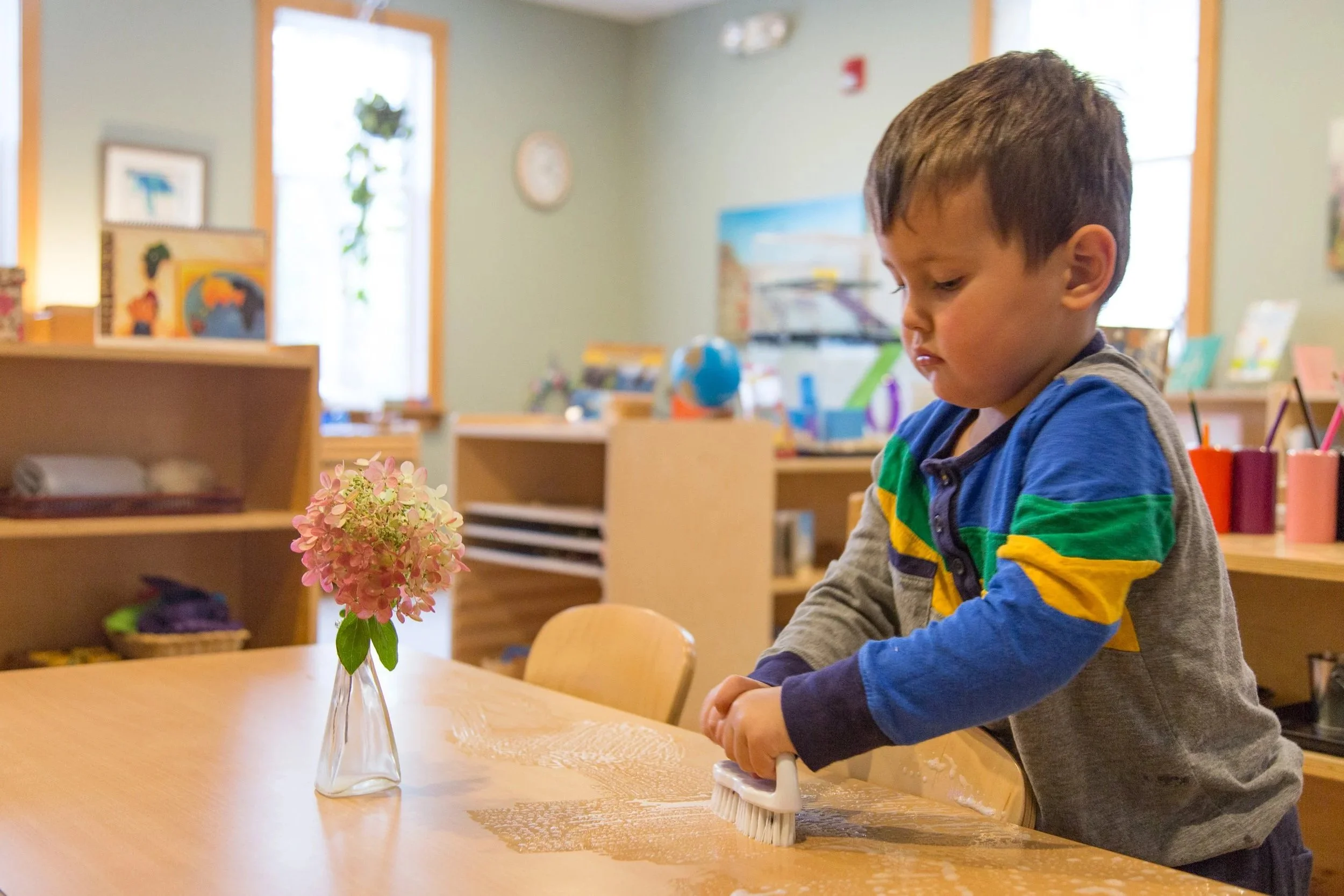 A young boy in a colorful striped shirt is cleaning a table in a classroom or playroom. On the table is a vase with pink hydrangea flowers. The background shows shelves with educational materials and decorations.