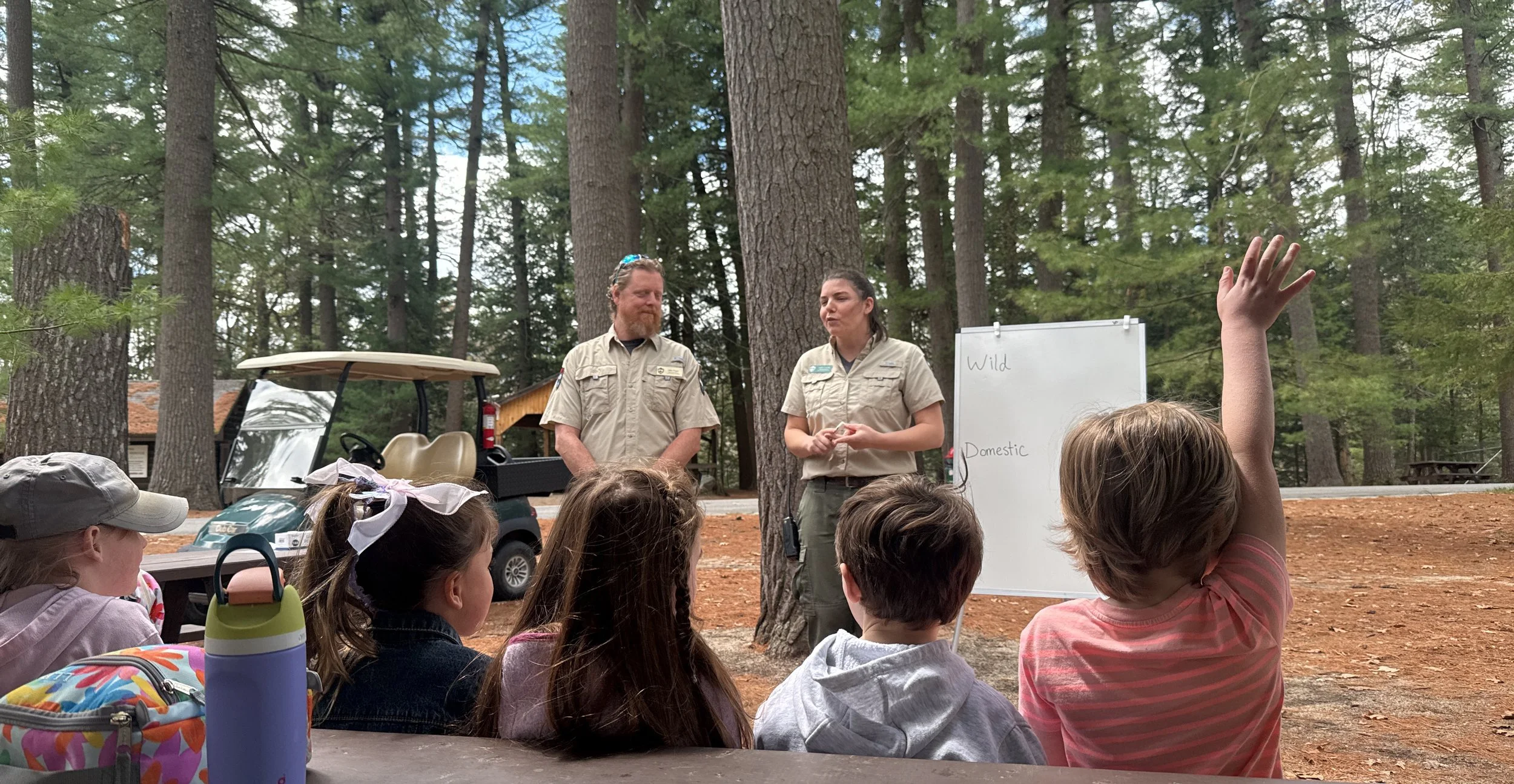 A group of children sitting outdoors in a forested area, listening to two park rangers giving a presentation. One child has raised their hand. The rangers are standing near a whiteboard with writing, and there is a golf cart in the background.