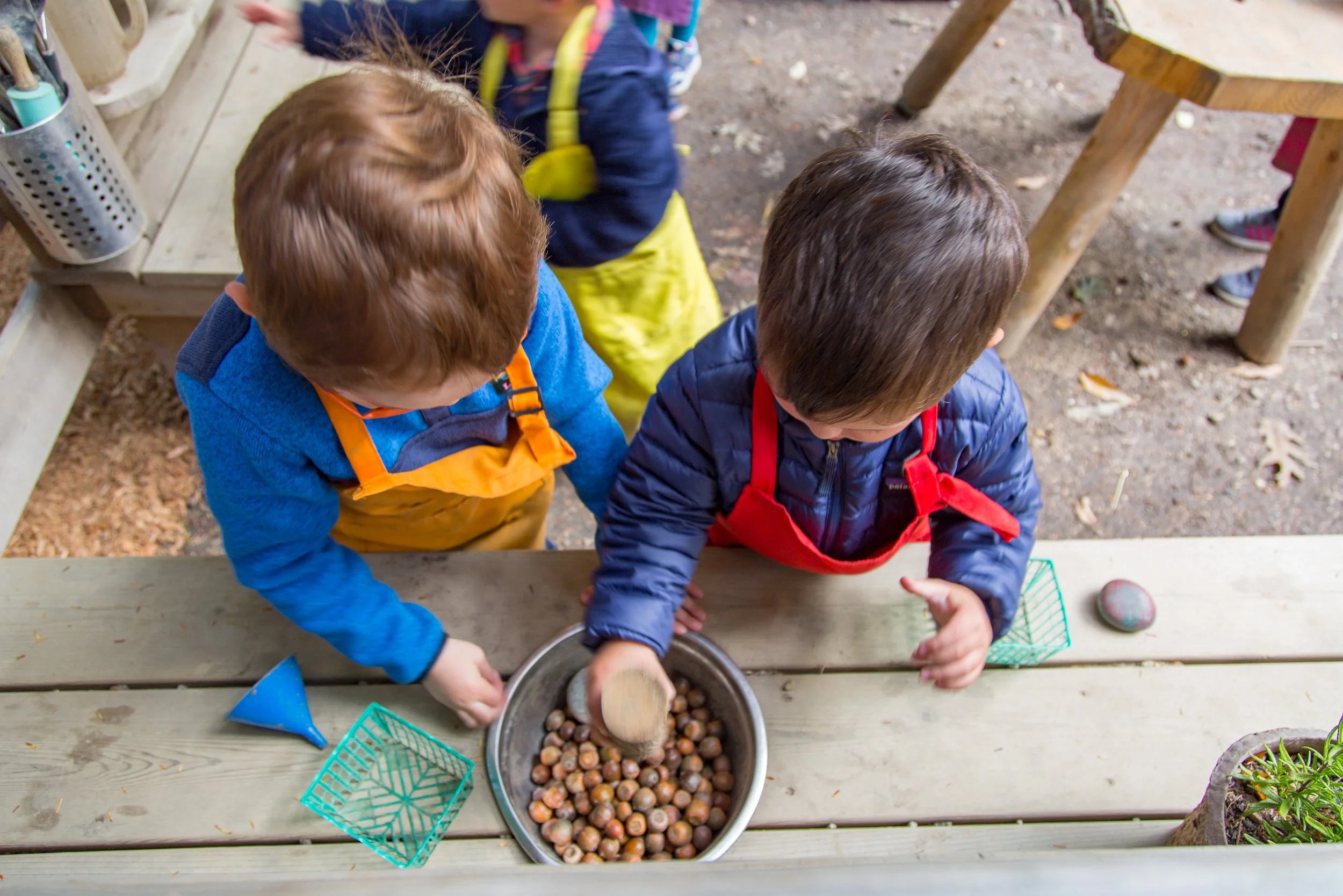 Children gather around a table planting hazelnuts in a garden, wearing colorful aprons.