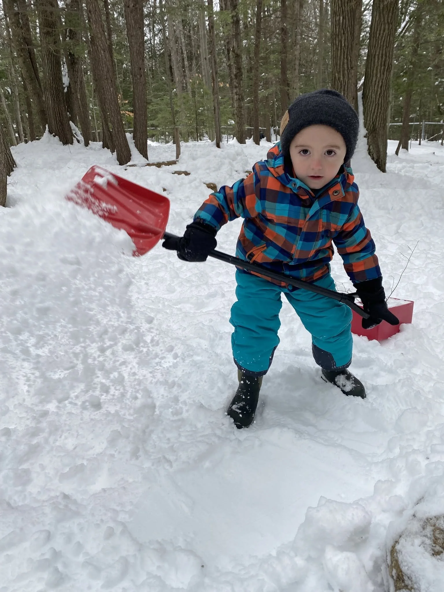 A young boy wearing a black knit cap, a colorful plaid jacket, and teal snow pants is standing in a snow-covered forest holding a red shovel.