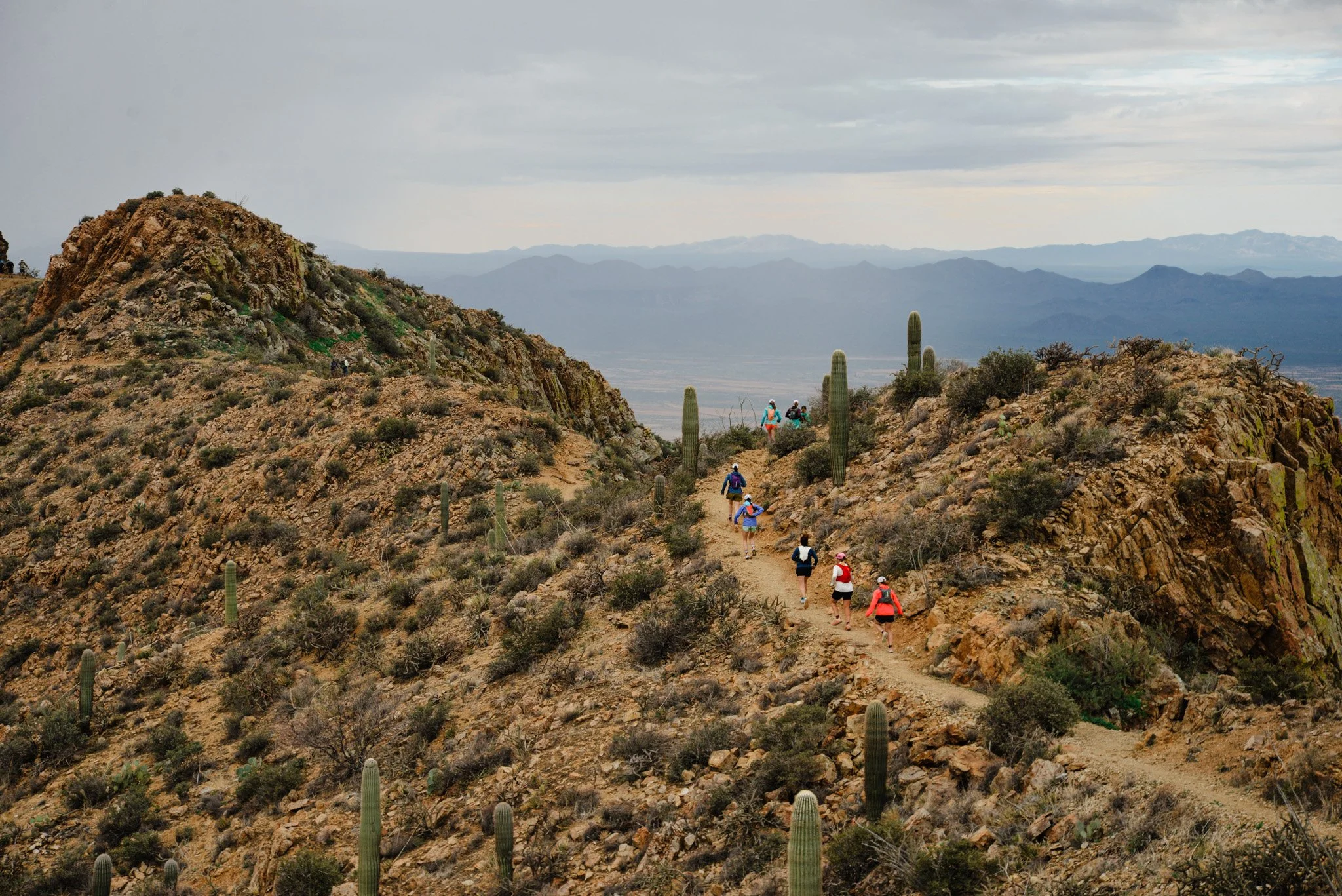 Tucson Custom Photo Gallery