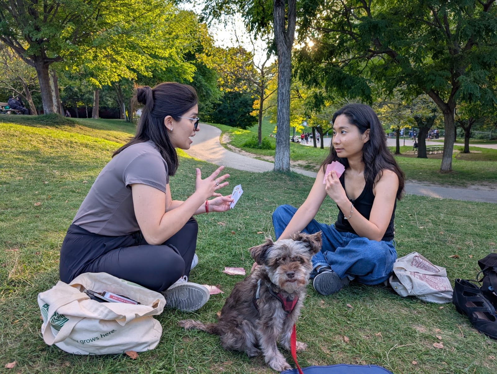 Crafts in the Park