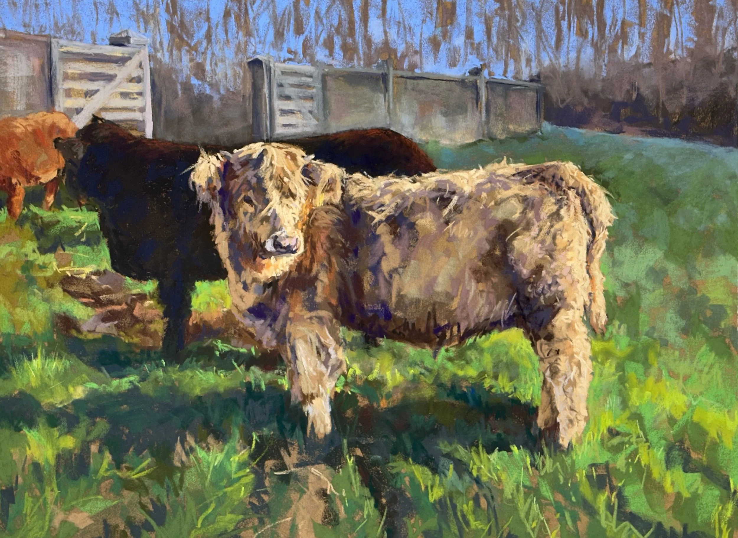 Sheppard Farm