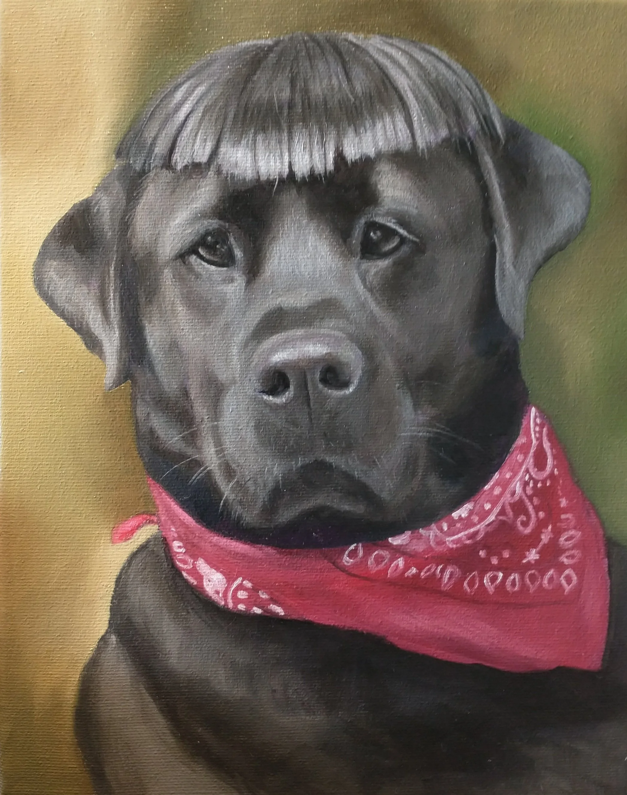 dog+wig.jpg