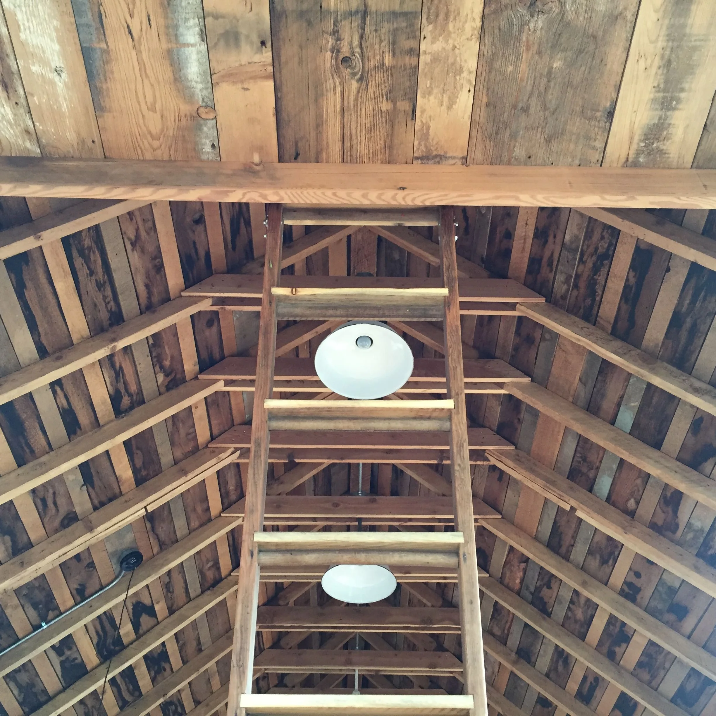 wayland constructive 5.jpeg