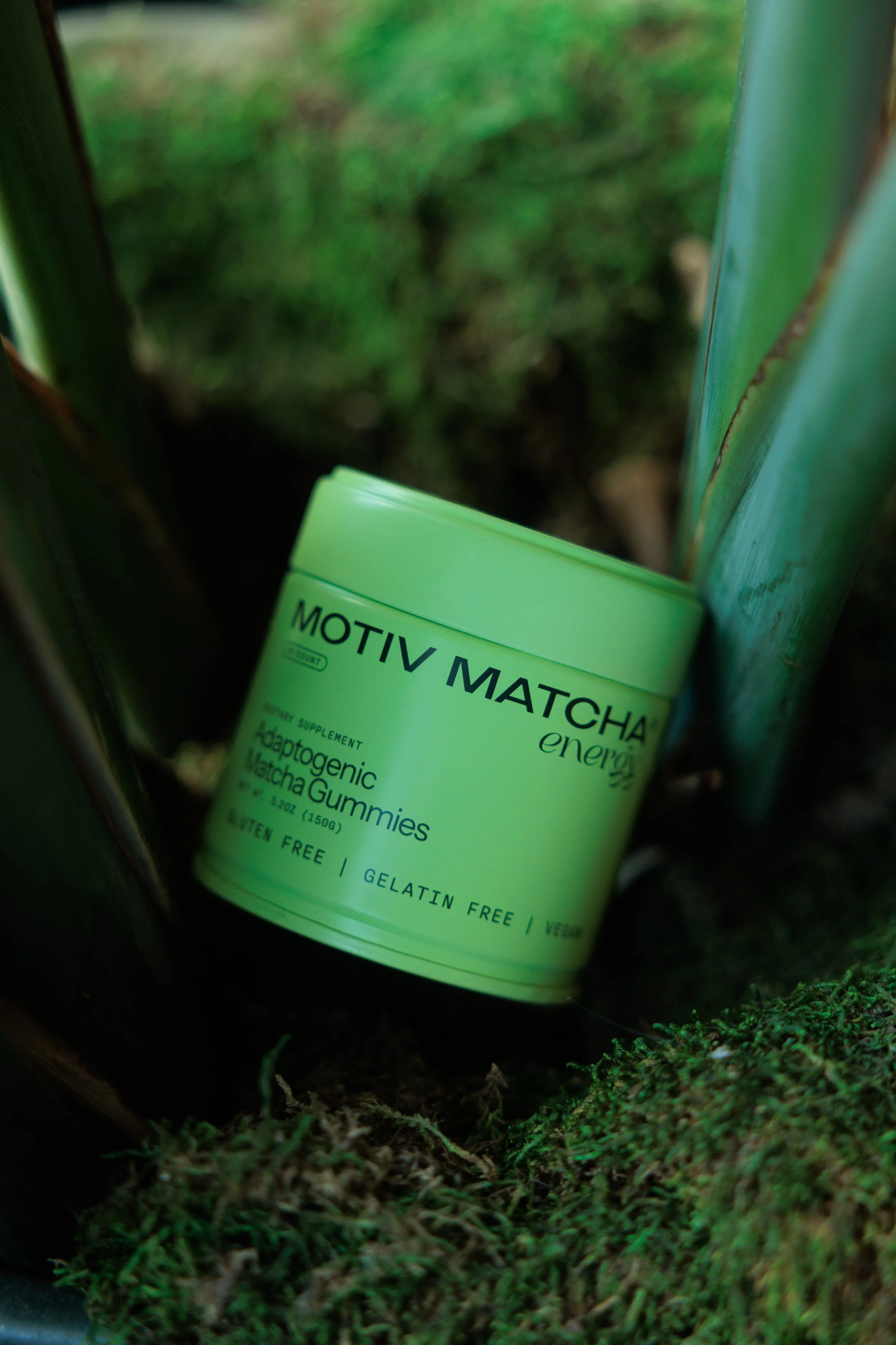 Product photography featuring a can of Motiv Matcha gummies in a rainforest.
