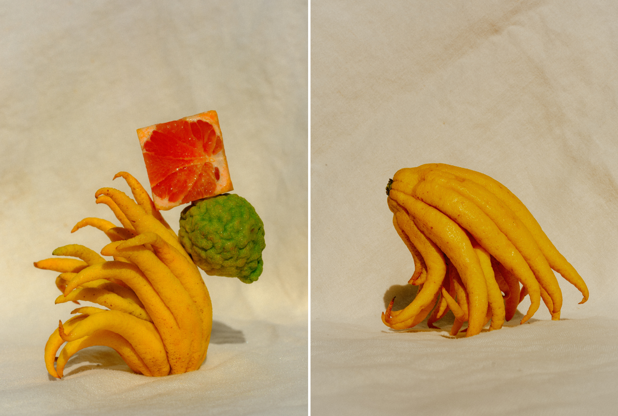 Untitled design (34).png