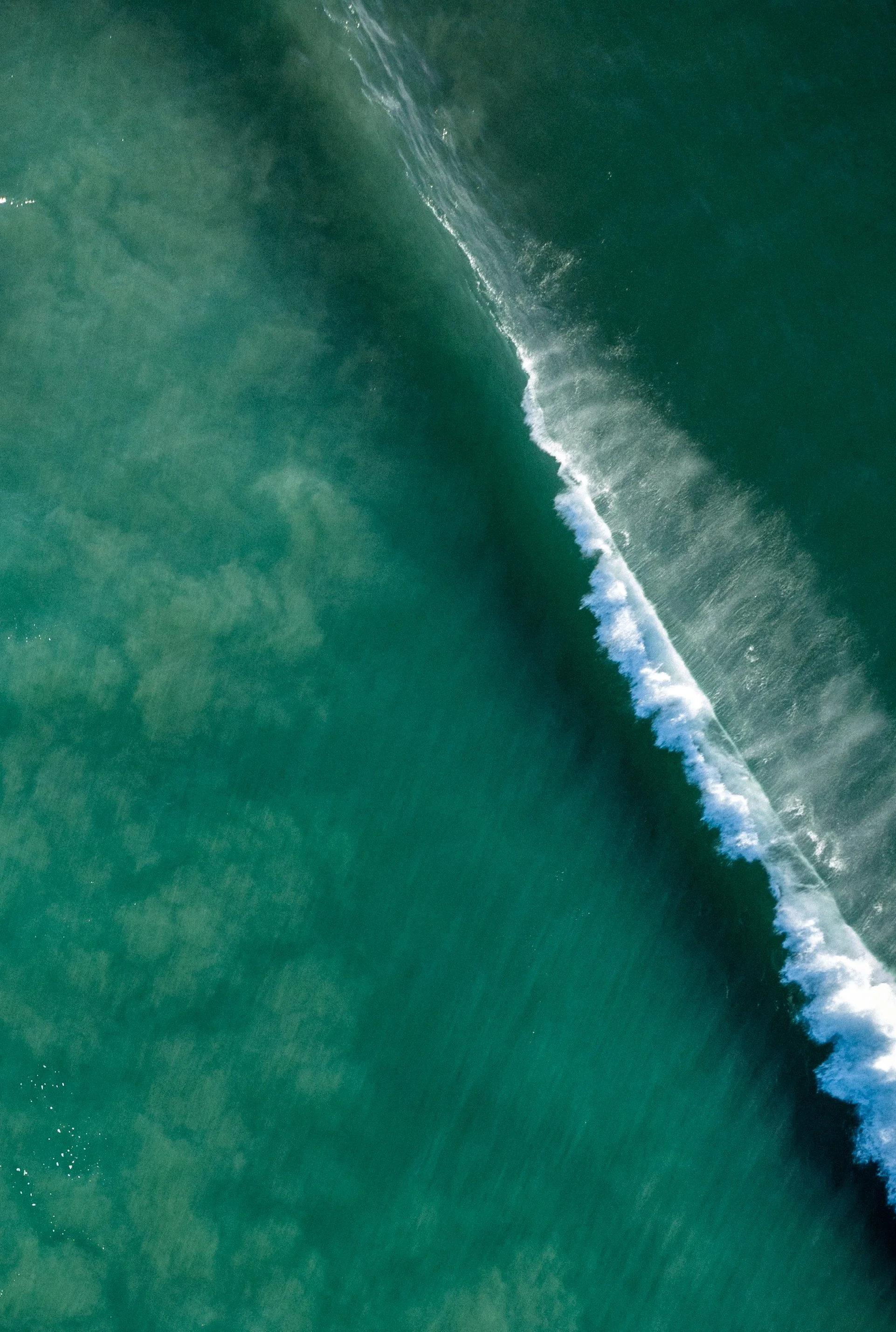 PHOTOS FOR SOCIALS-2.jpg