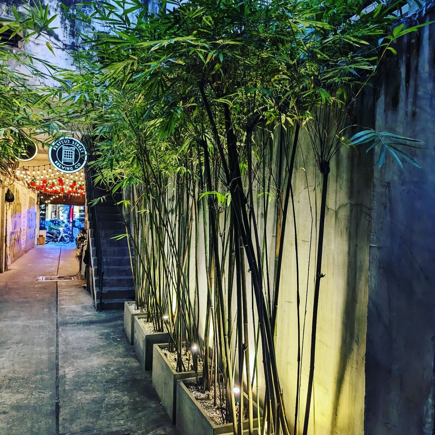 Stumbled over this bamboo in Ho Chi Minh City, near the Pasteur street brewery - Vietnam loves the bamboo! #ecofriendly #pasteurstreetbrewing #sustainability
#bamboo #bambooforthewin #sustainablefashion #hcm