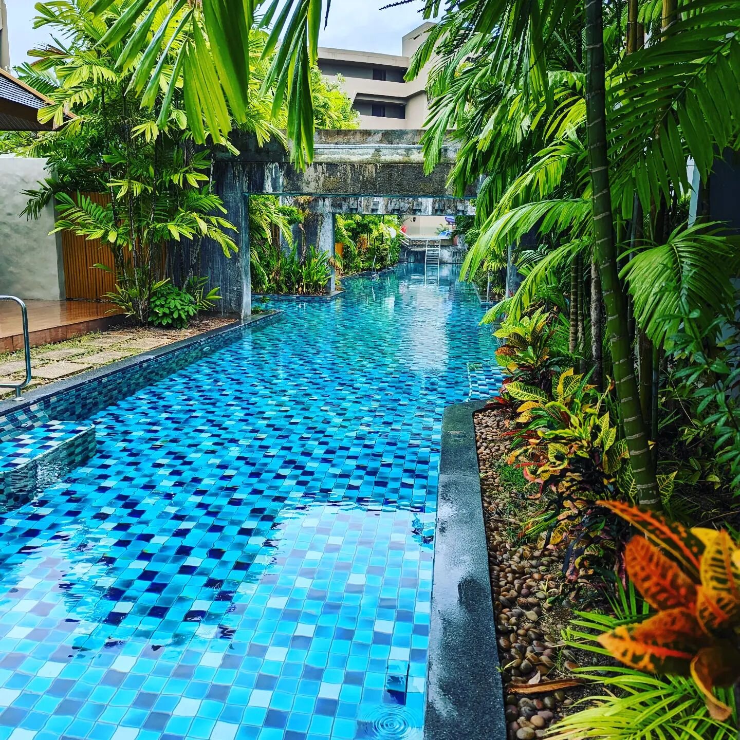 Favorite hotel of the trip in Kata. Beautiful pool with #bamboo right out the back door. 

#bambooforthewin #ecofriendlyliving  #islandlife #poolside