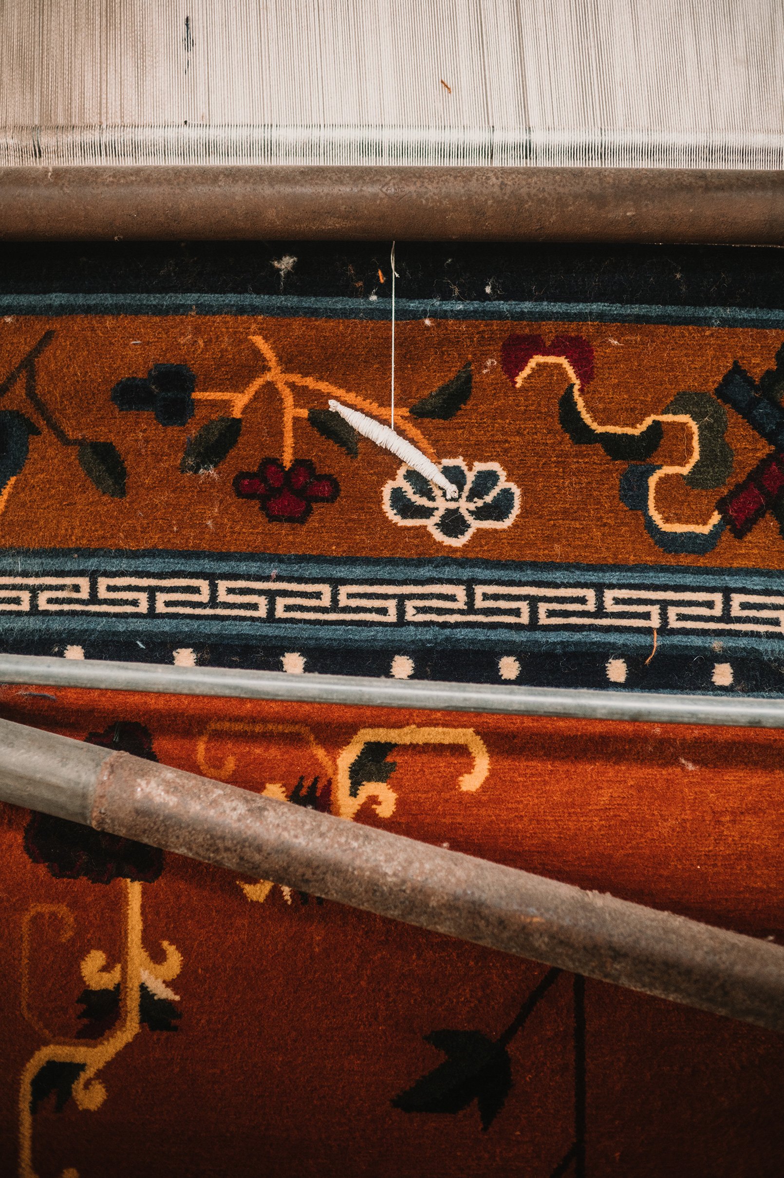 ayla-maagdenberg-creating-for-tomorrow-carpet.jpg