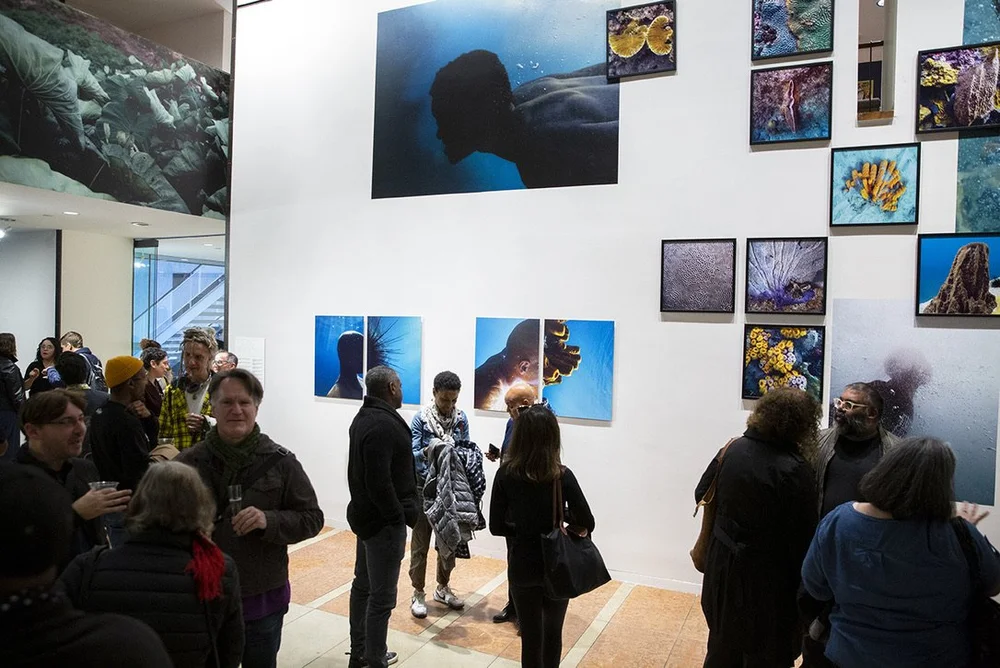  The main wall of the exhibition features work from Huggins’ “Transformations,” “Circa no future” and coral surveys. 
