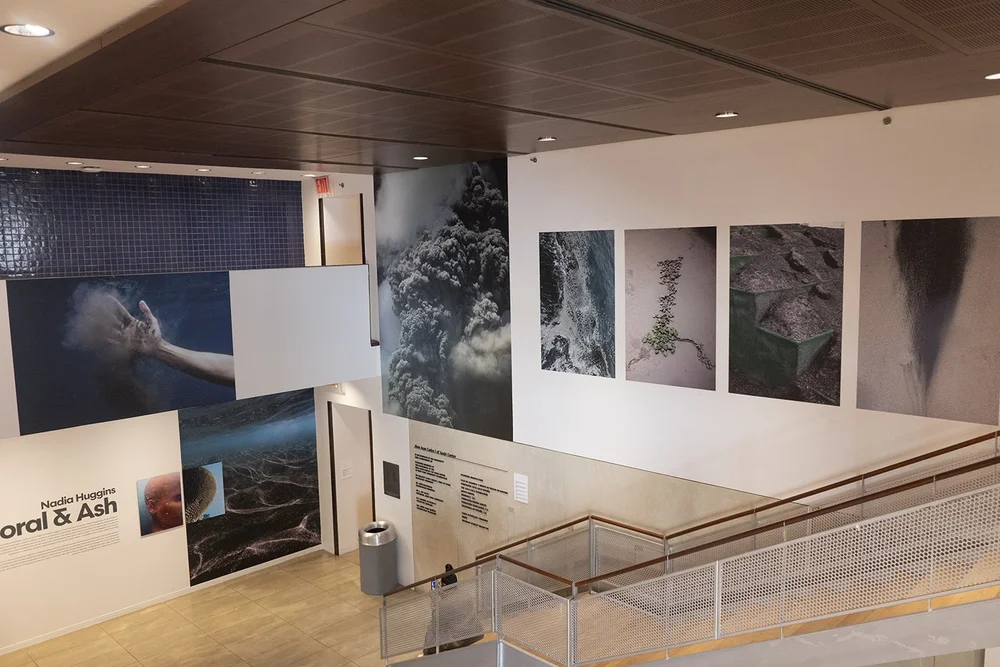  “Coral &amp; Ash” presents Huggins conceptual and documentary photography spanning the last nine years, connected in theme by the images’ relationships to the environmental composition and destruction of the Caribbean island.  Photo credit: Nadia Hu
