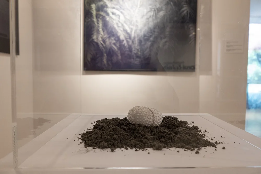  “Coral &amp; Ash” presents Huggins conceptual and documentary photography spanning the last nine years, connected in theme by the images’ relationships to the environmental composition and destruction of the Caribbean island.  Photo credit: Nadia Hu