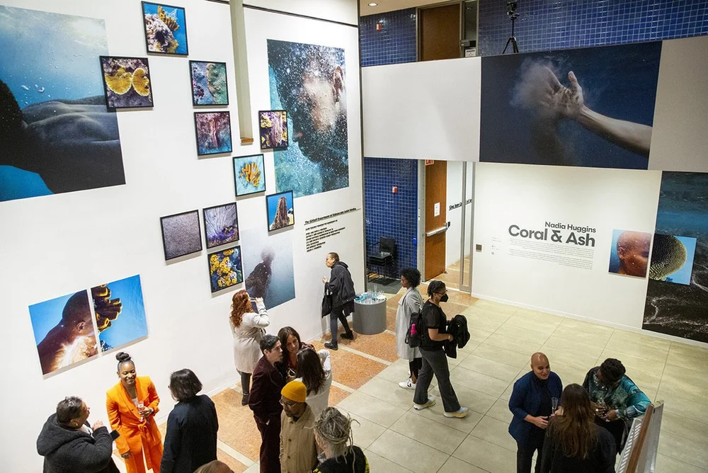  The main wall of the exhibition features work from Huggins’ “Transformations,” “Circa no future” and coral surveys. 