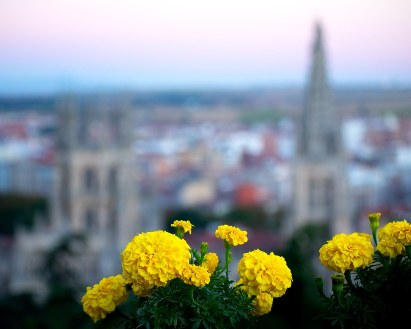 Burgos Spain at sundown. 
A picturesque city that is a must see.