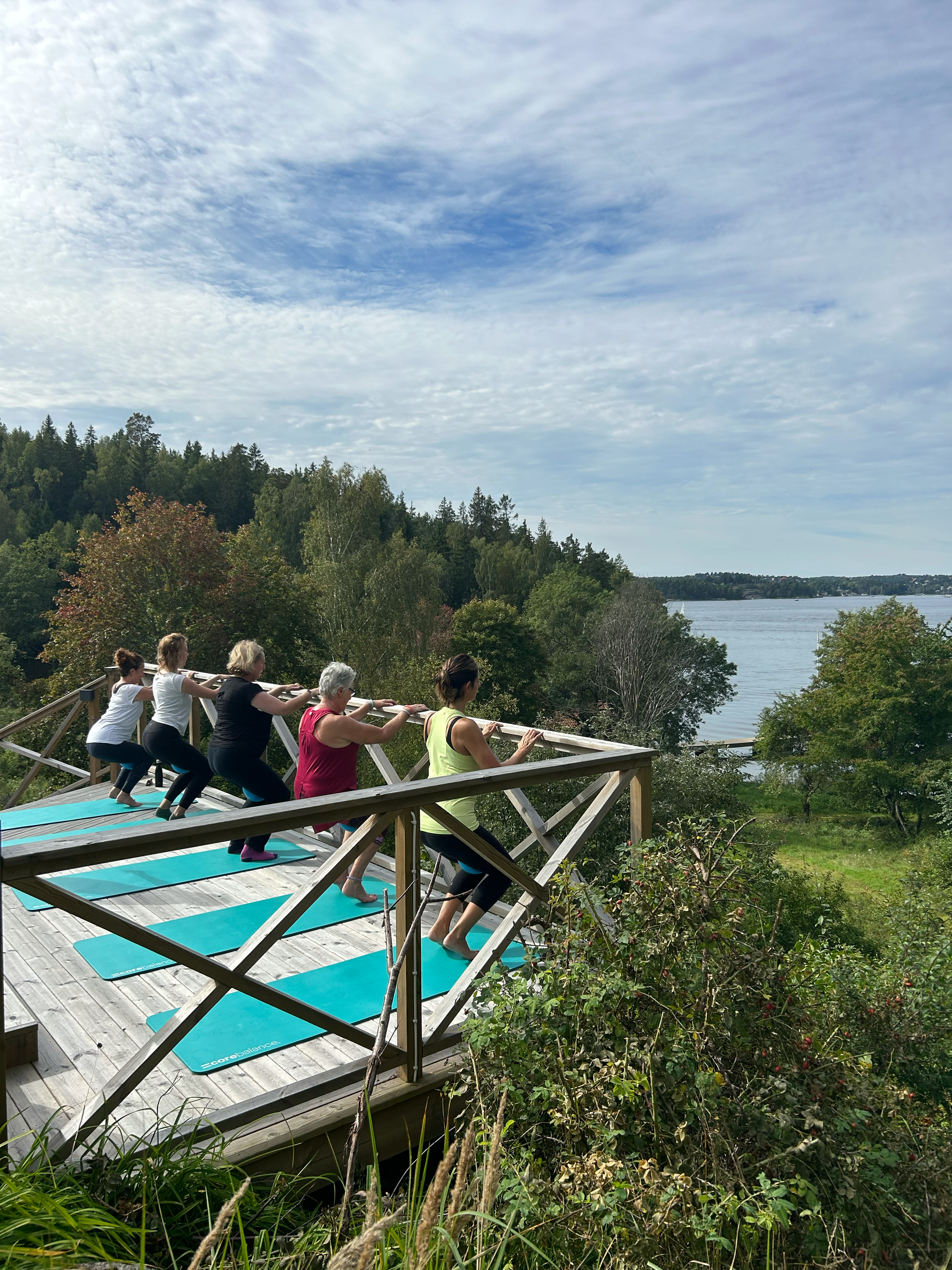 Outdoor decking overlooking forest and sea
