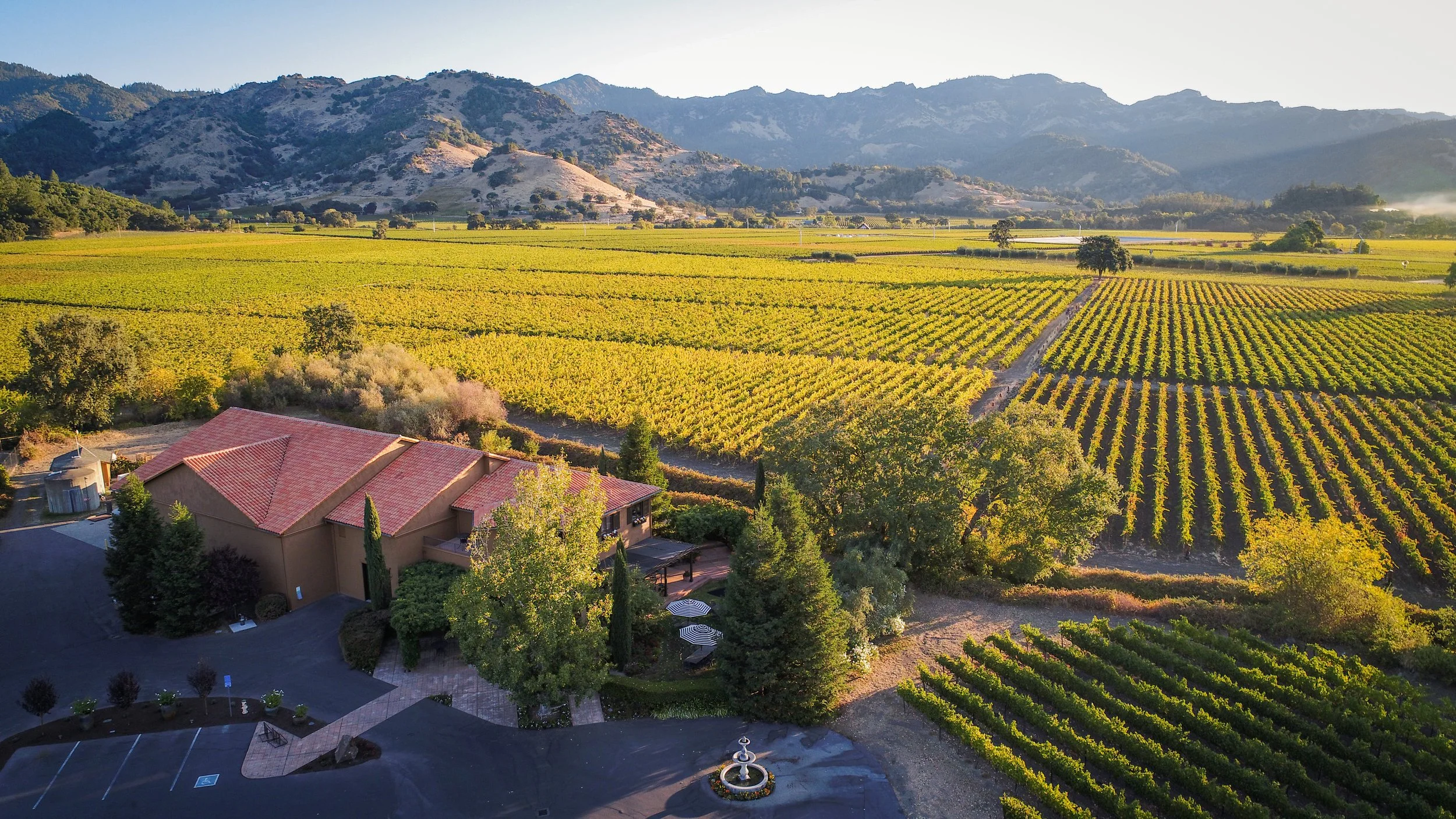Bennett Lane Winery Tasting with Stephanie Longton