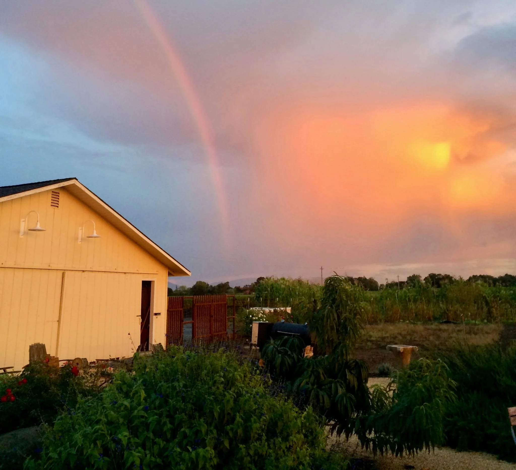 Sanglier Cellars Wine Tasting with Glenn Alexander