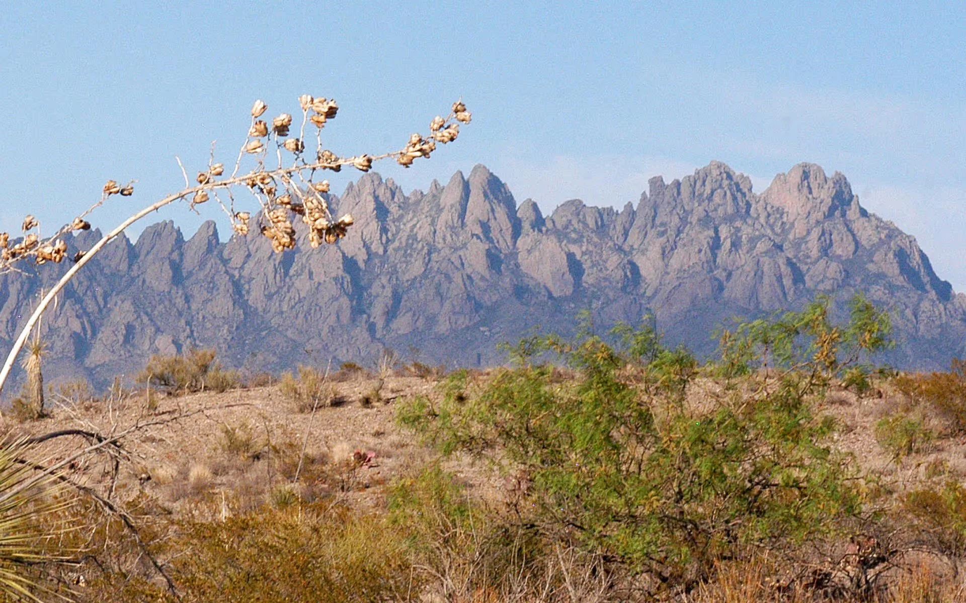 2026 Annual State Meeting