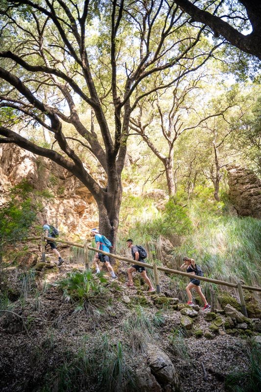 reserva-park-mallorca-naturaleza-ocio-aventura-aula-naturaleza.jpg