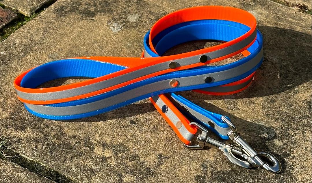 blue and orange hi vis leads.jpeg