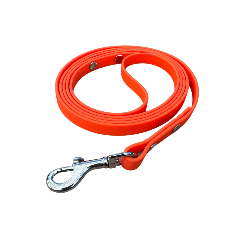 Anschnall- / Sicherheitsgurt für Autos in 25 mm BETA BIOTHANE® – neon  orange – Collar & Leash