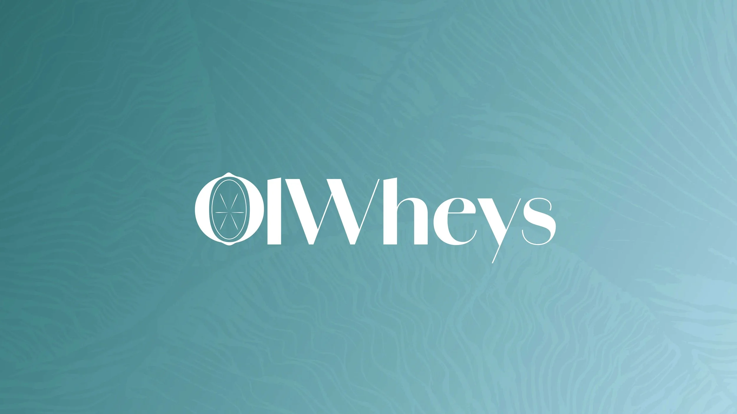 OlWheys Brand Guideline- Maram Ali_Page_27.jpg