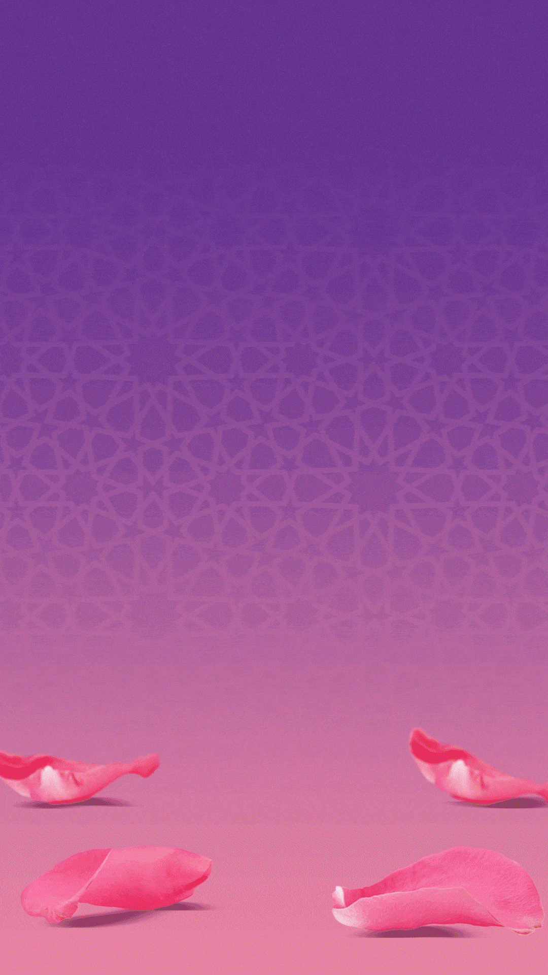 ezgif.com-optimize (2).gif