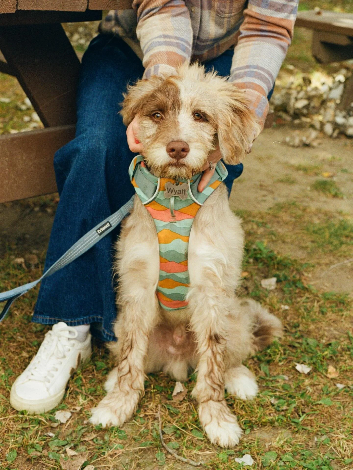 565. &ldquo;We&rsquo;ve driven over from New Hampshire - when he gets excited he drools. He was watching out the window the whole time and by the time we got here he was soaking wet from all of the slobber.&rdquo; Wyatt was a very good (albeit very s