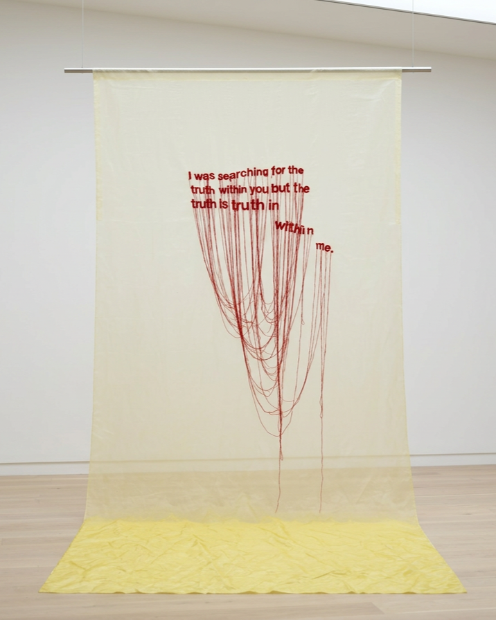 Sanctimonious, 2022, Organza, wool yarn, 200x120x200cm