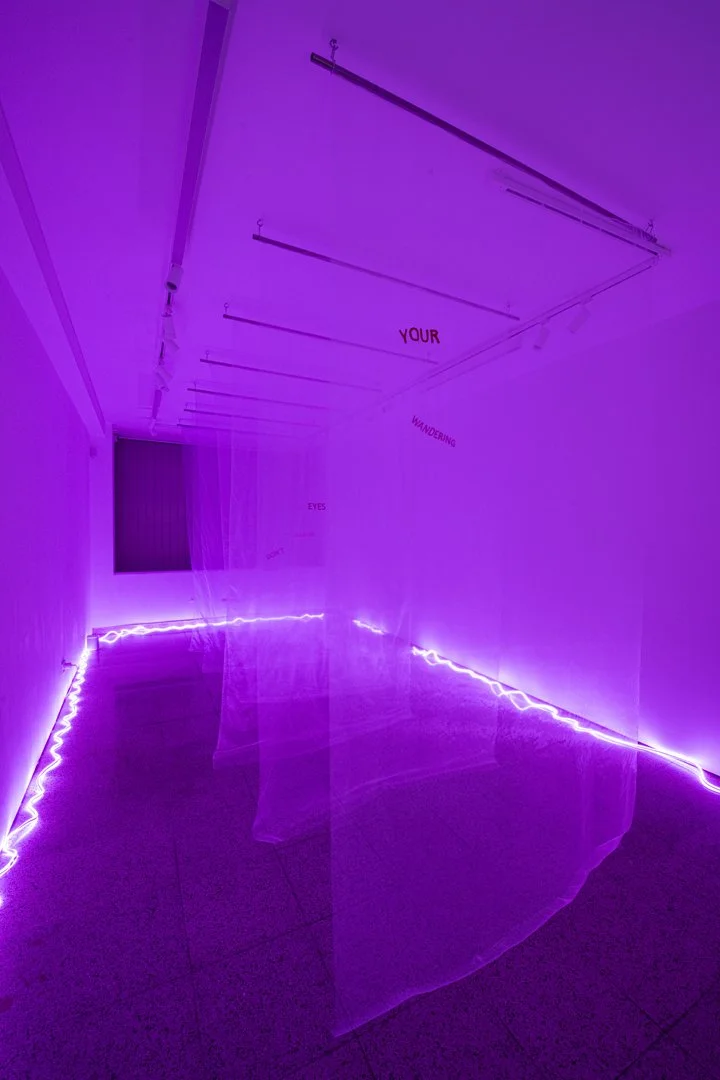 Wandering eyes, 2025
organza, cotton thread, stainless steel, 245x485x150 cm