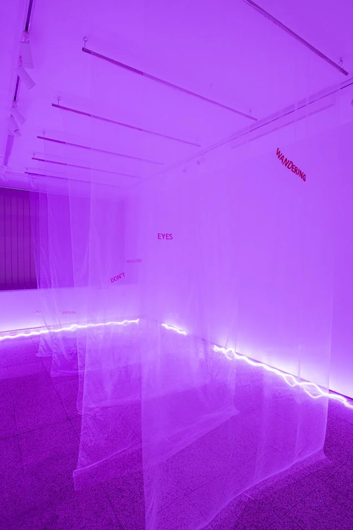 Wandering eyes, 2025
organza, cotton thread, stainless steel, 245x485x150 cm