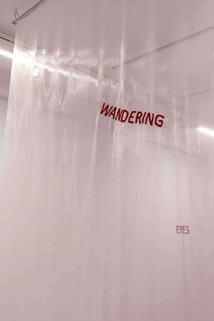 Wandering eyes, 2025
organza, cotton thread, stainless steel, 245x485x150 cm