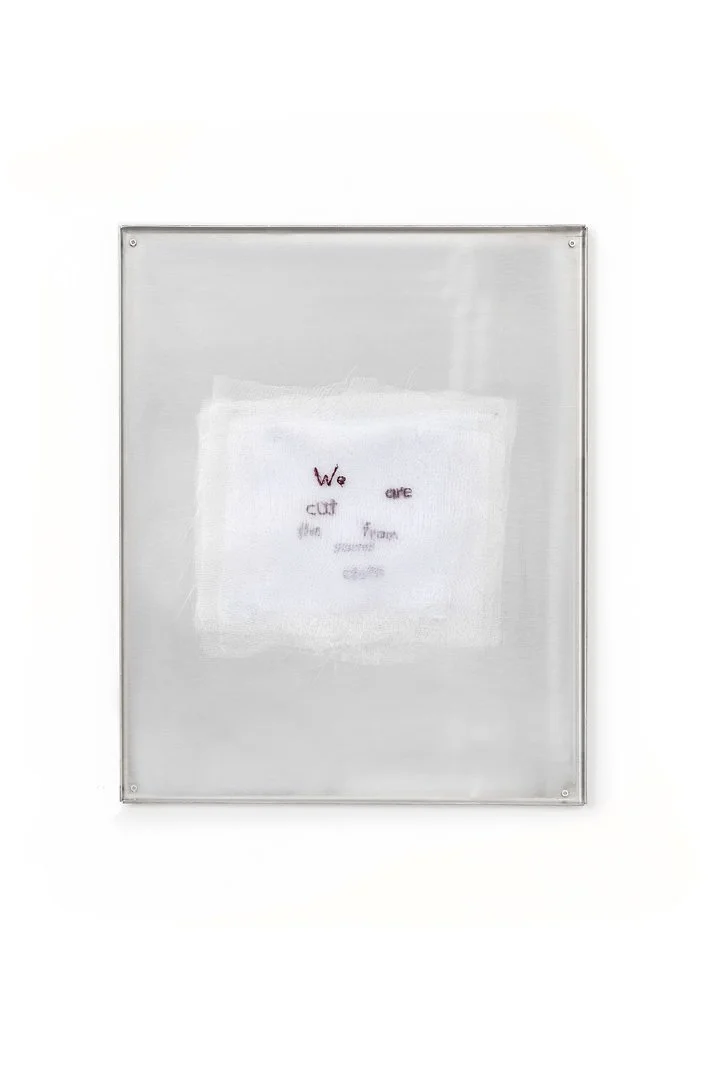 Cut from the same cloth, 2025
organza, cotton thread, stainless steel
45x33x1.5cm