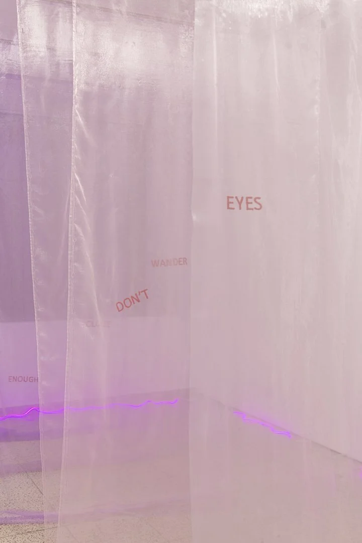 Wandering eyes, 2025
organza, cotton thread, stainless steel, 245x485x150 cm