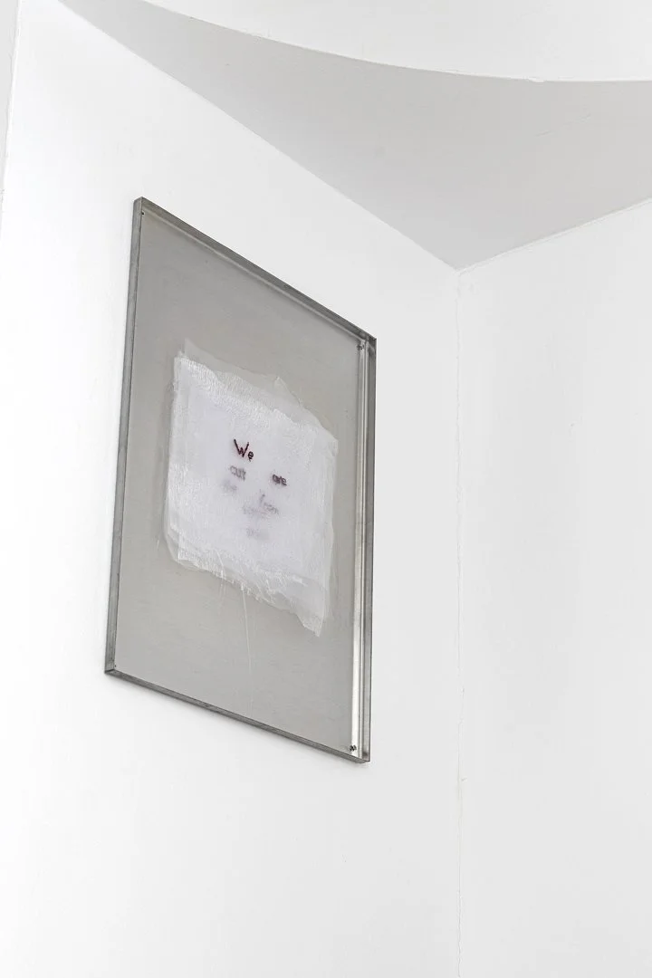 Cut from the same cloth, 2025
organza, cotton thread, stainless steel
45x33x1.5cm