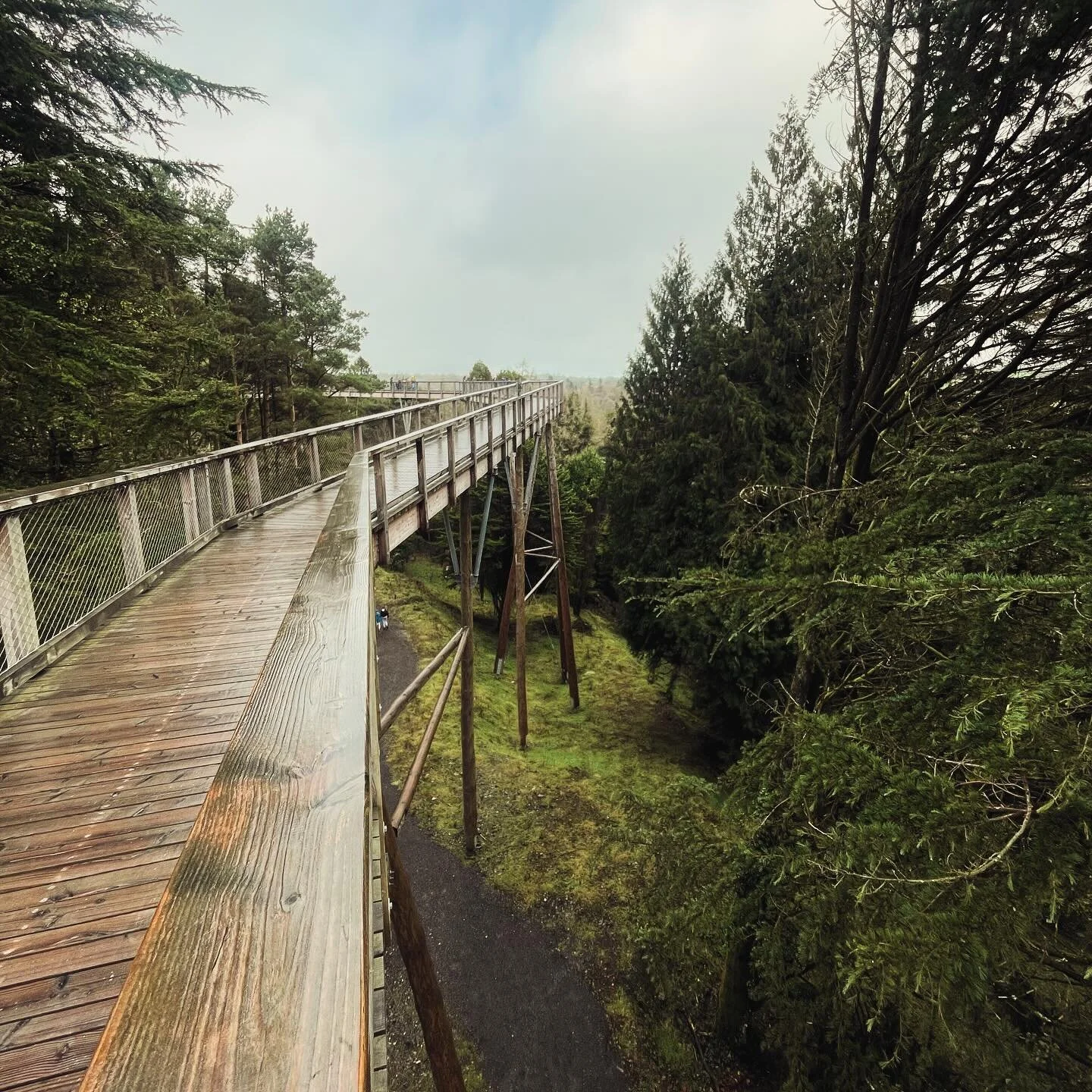 Weekend photos down at Avondale Forest Park - Wicklow.

Now back in the office and I&rsquo;ve just dropped the price on all remaining stock another &pound;10&hellip; now get up to &pound;90 OFF - stock is selling fast at these prices

All legs are cu